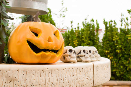 Halloween pumpkin and skullsの写真素材