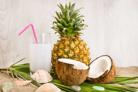 pineaple and coconutの写真素材