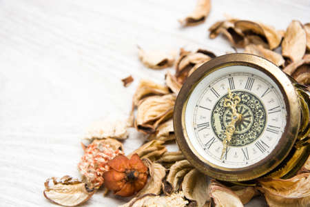 vintage watchの写真素材