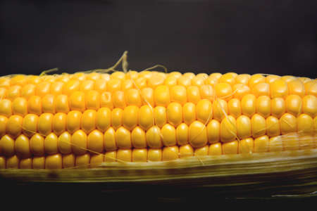 Corn on slate tableの写真素材