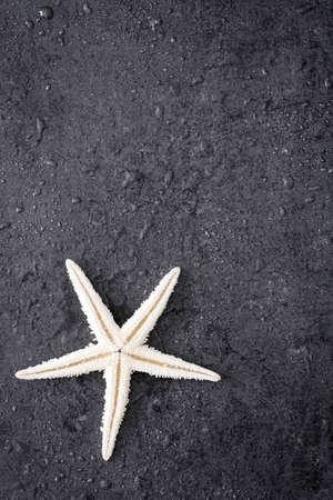 Starfish on black stone backgroundの写真素材
