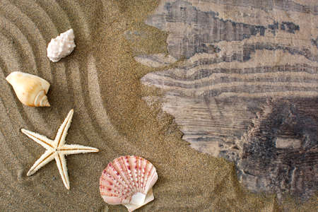 Starfish and shells on sand and wooden background