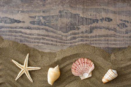 Starfish and shells on sand and wooden background