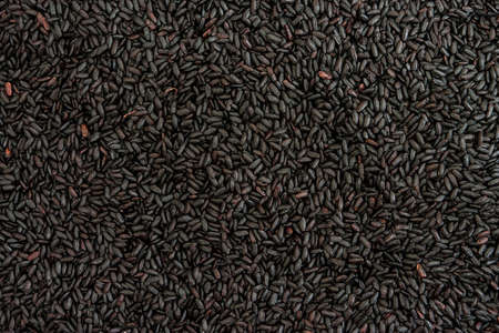 Black rice backgroundの写真素材