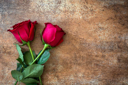 Background.Love rusty red rose on valentines day concept. Copyspace.の写真素材