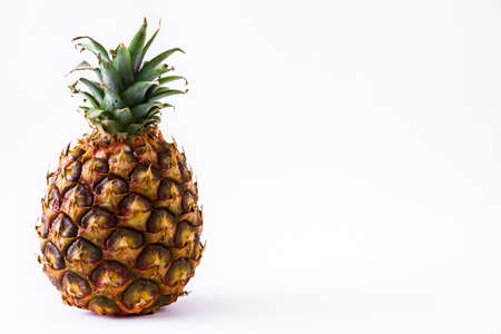 Pineapple isolated on white background. Copyspace.の写真素材