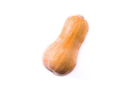 Butternut pumpkin isolated on white background. Top viewの写真素材