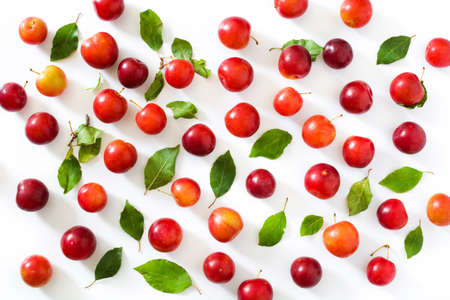 Red and yellow plums pattern on white backgroundの写真素材