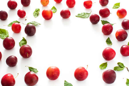 Red and yellow plums pattern on white background. Copyspaceの写真素材
