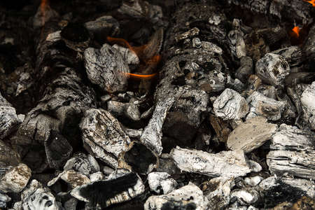 Burning charcoal closeup. Preparing BBQ.