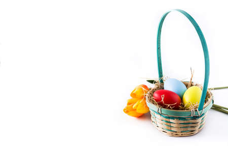 Colorful easter eggs in a basket and tulips isolated on white background. Copyspaceの写真素材