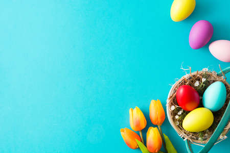 Colorful easter eggs in basket and tulips on blue background. Top view. Copyspace