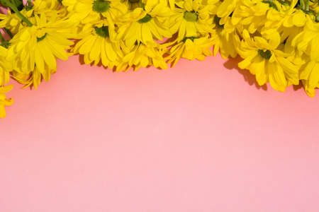 Yellow chrysanthemum bouquet on pink background. Copy spaceの写真素材
