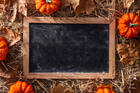 Autumn background with leaves, pumpkins and blackboard on wooden backgroundの写真素材