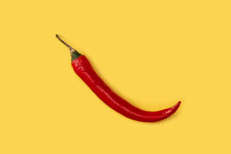 Red chili pepper on yellow backgroundの写真素材