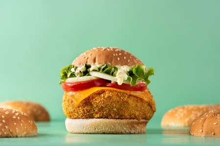 Crispy chicken burger on green background
