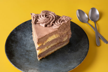 Piece chocolate truffle cake on yellow backgroundの写真素材