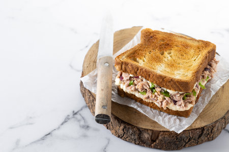 Tuna sandwich with vegetables on marble backgroundの写真素材
