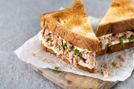 Tuna sandwich with mayo and vegetables on gray stone background.の写真素材