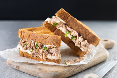 Tuna sandwich with mayo and vegetables on gray stone background.の写真素材