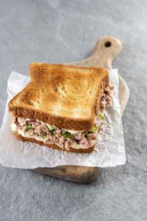 Tuna sandwich with mayo and vegetables on gray stone background.の写真素材