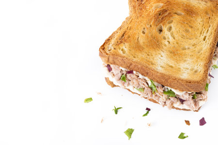 Tuna sandwich with mayo and vegetables isolated on white backgroundの写真素材