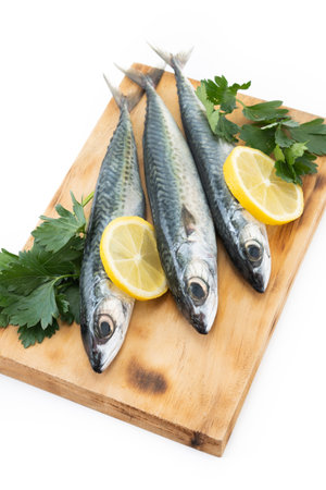 Raw mackerel fish isolated on white backgroundの写真素材