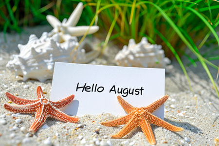 Phrase "Hello August" written on white note, beach and starfish backgroundの素材