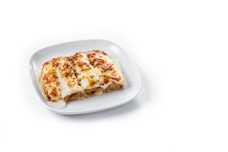 Baked Cannelloni with Cheese and BÃ©chamel Sauce isolated on white backgroundの写真素材