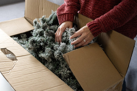 Woman unpacking Artificial Christmas Tree from Storage Box at homeの写真素材
