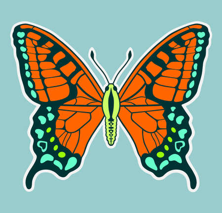 orange butterflyのイラスト素材