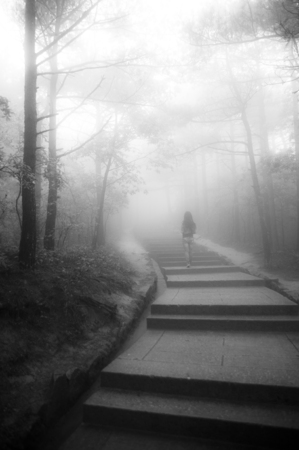 Woman walking on the stairsway in heavy mistの写真素材