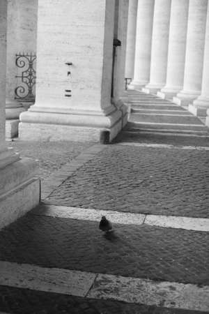 Italy, Rome, the Vaticanの写真素材