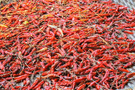 The Dried Chilliの写真素材