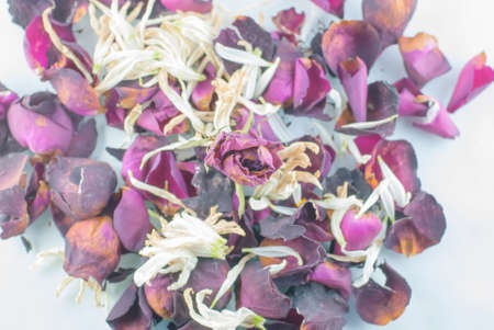 Red dried roses isolated on white backgroundの写真素材