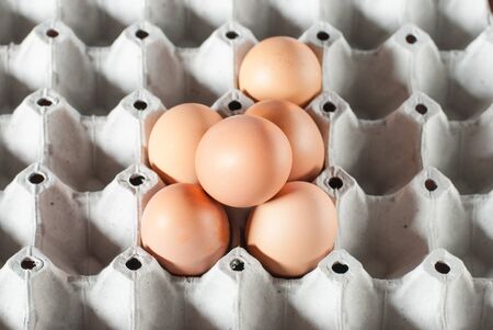 Fresh eggsの写真素材