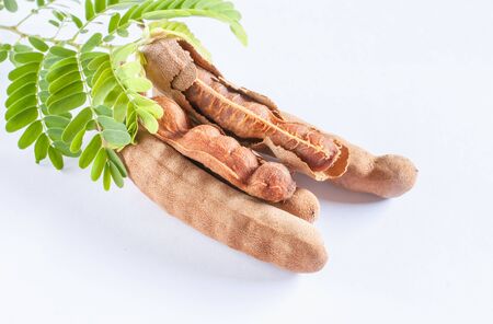 exotic fruit of tamarind on white backgroundの写真素材