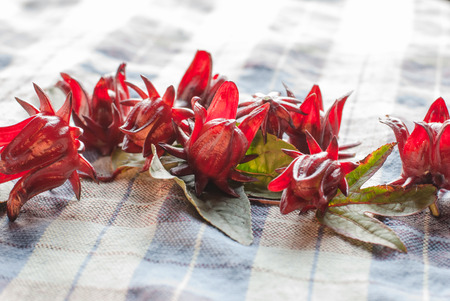 Hibiscus sabdariffa or roselle fruits on table backgroundの写真素材