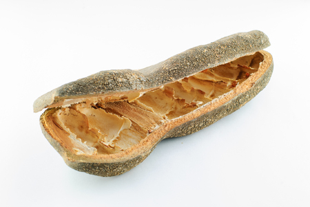 Afzelia xylocarpa Craib seeds in forest Thailand