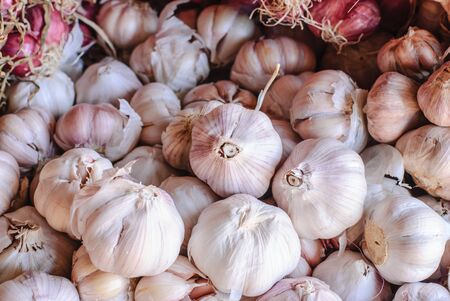 Colorful onions and garlic on the table.の写真素材