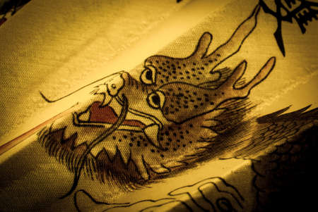 china dragon drawing isolated on a farbic backgroundの写真素材