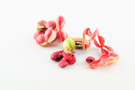 Manila tamarind fruit isolated on white backgroundの写真素材