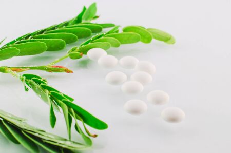 white tablets and green leaf  isolated on white backgroundの写真素材