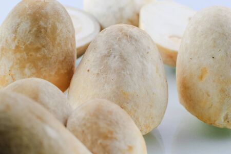 The straw mushroom isolated on white backgroundの写真素材