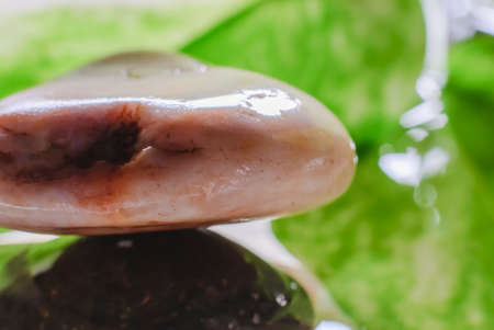 green leaf and white stone and water