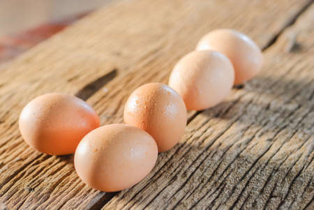 Fresh eggs  in moody natural lighting vintage styleの写真素材