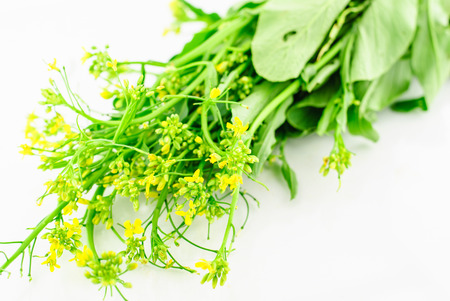 Chinese Cabbage isolated on white background, Flowering Pak Choyの写真素材