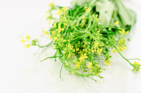 Chinese Cabbage isolated on white background, Flowering Pak Choyの写真素材
