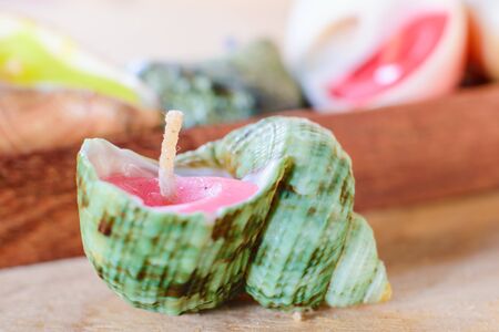 candles hand-made of shells on wood in backgroundの写真素材