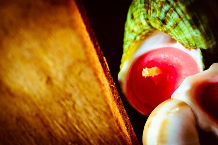 candles hand-made of shells on wood in backgroundの写真素材